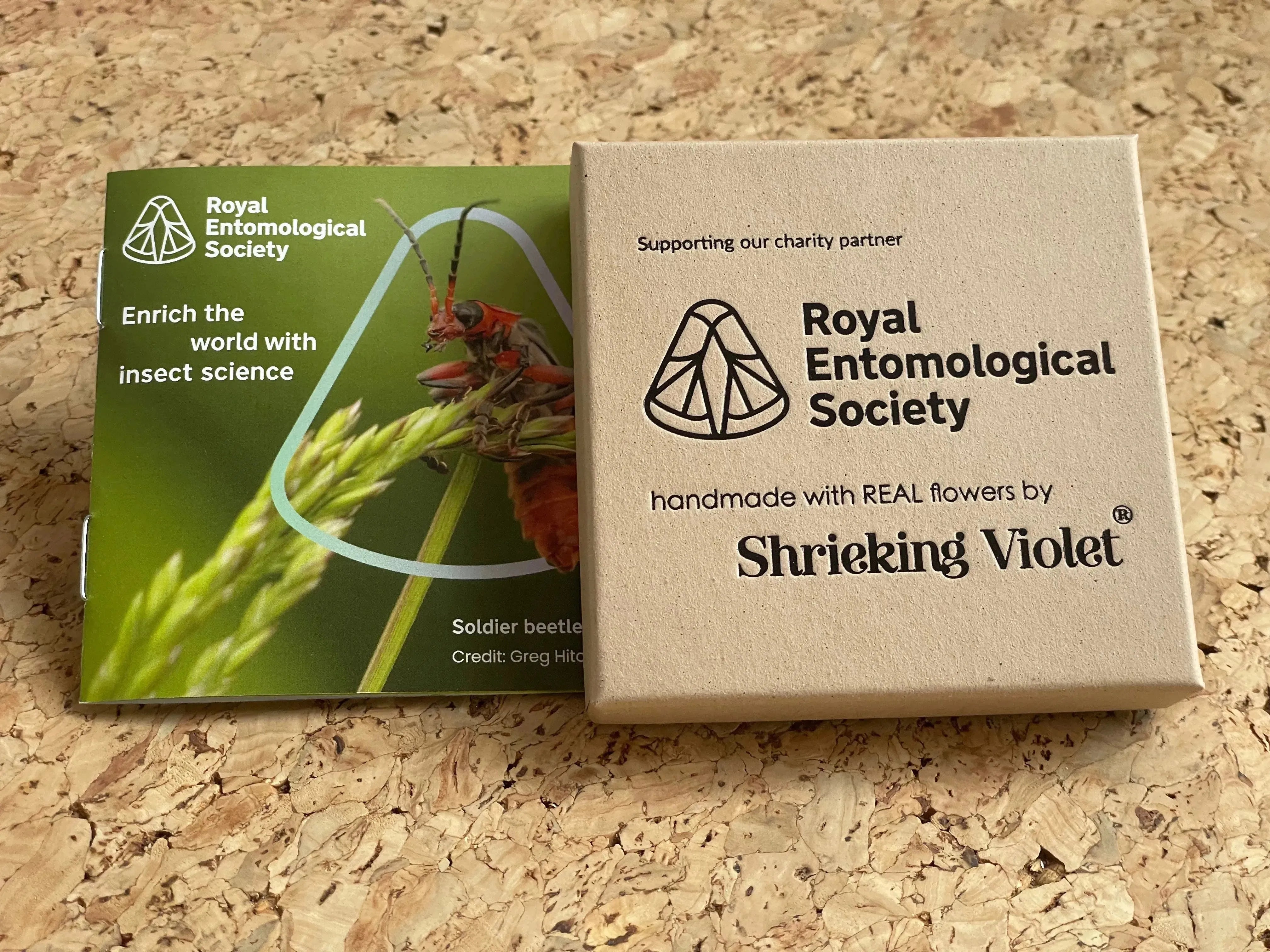 Náhrdelník s motýlem máku od Shrieking Violet® Přívěsek ze stříbra vyrobený ručně s pravými květy Euphorbia milii. Šperkový dárek pro milovníky motýlů