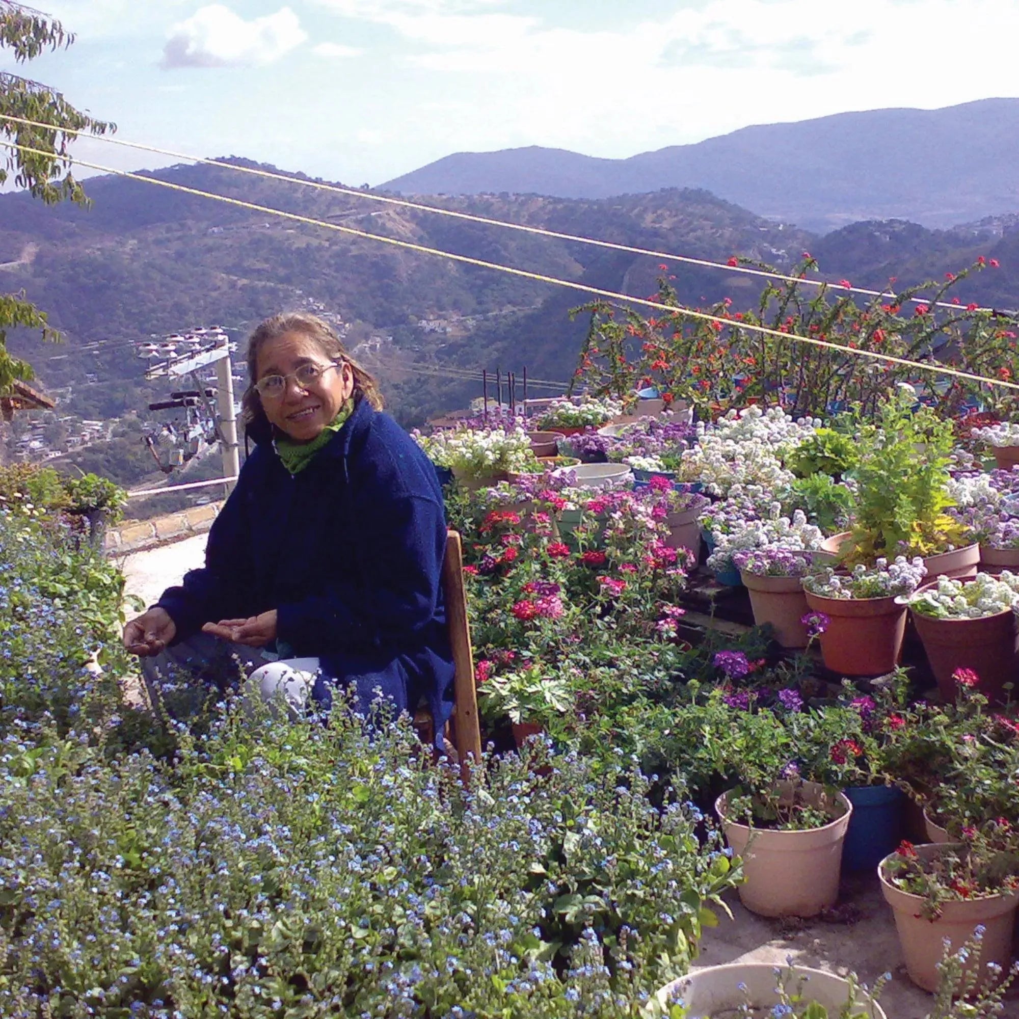 Spilla d'argento | Fiori misti | Mezza luna