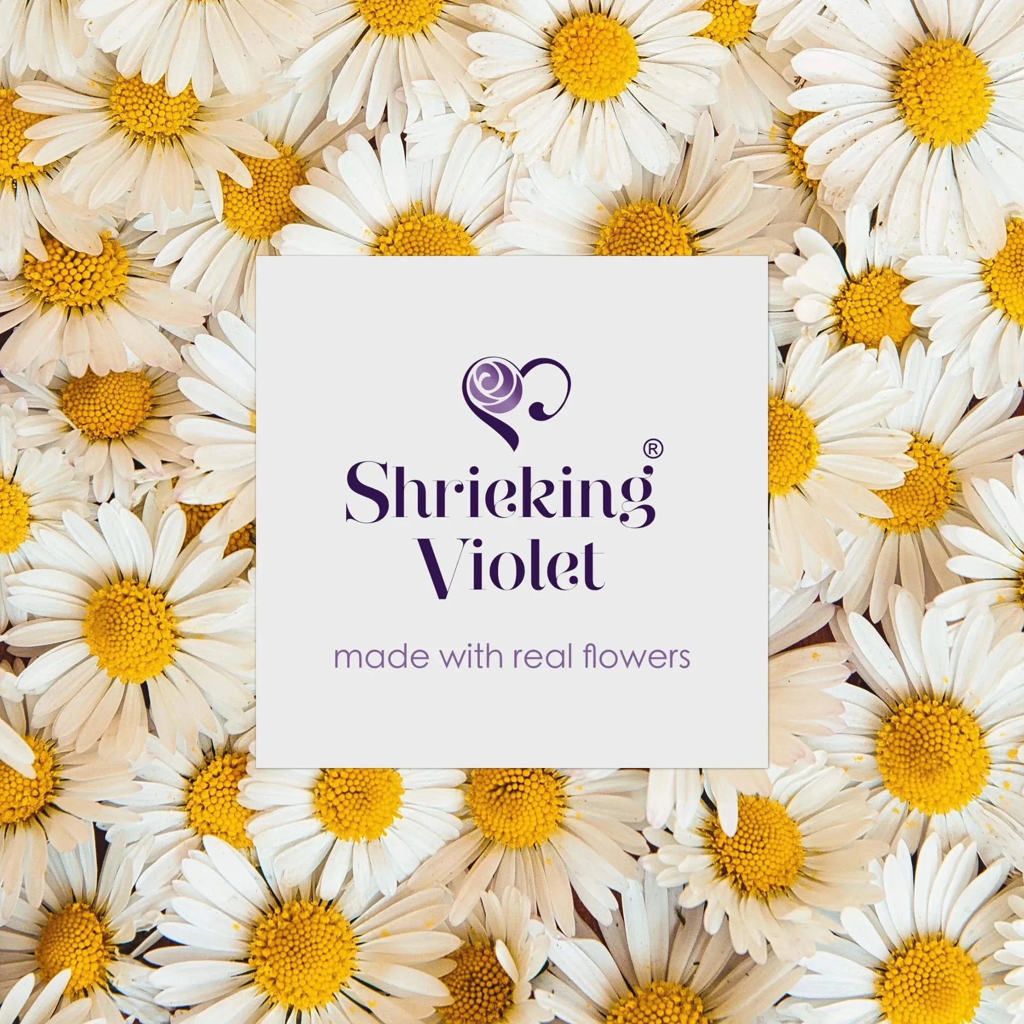 带 925 纯银环绕的雏菊耳环。由 Shrieking Violet® 手工制作