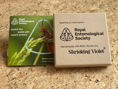 Náhrdelník s motýlem máku od Shrieking Violet® Přívěsek ze stříbra 925 ručně vyrobený se skutečnými květy Euphorbia milii. Šperkový dárek pro milovníky motýlů