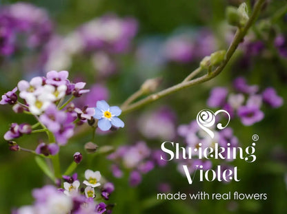 بروش بيضاوي فضي مع زهور "لا تنسني" الحقيقية من Shrieking Violet®