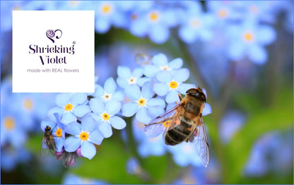 Forget-me-not necklace by Shrieking Violet® Gold-plated sterling silver heart pendant with real forget me not flowers. Thoughtful gift for mother day
